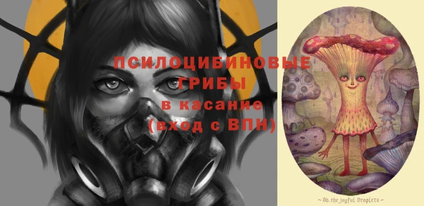 Альфа ПВП Горнозаводск